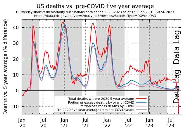US Excess Deaths during and after the COVID years